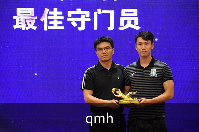 关于qmh